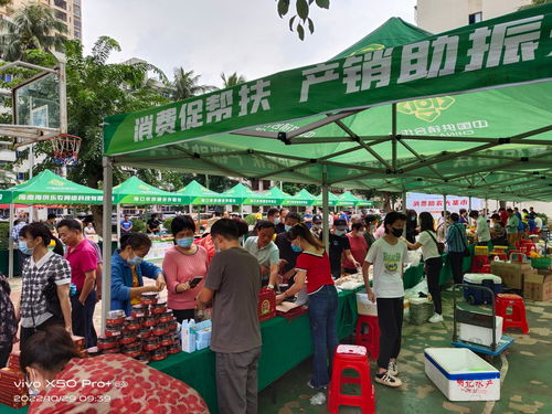 消费助农大集市 两场活动销售农产品超13万元，助农增收显成效