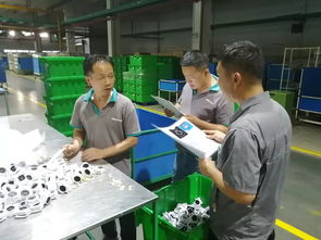 平度工厂全员质量标准学习活动日 携手共筑品质未来——总结与经营启示
